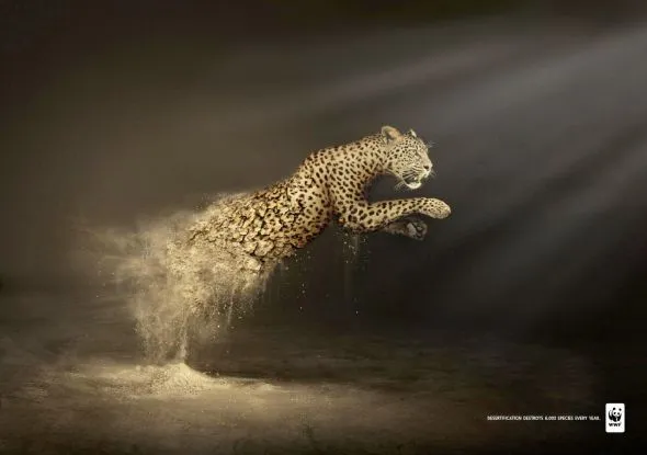 World Wildlife Fund