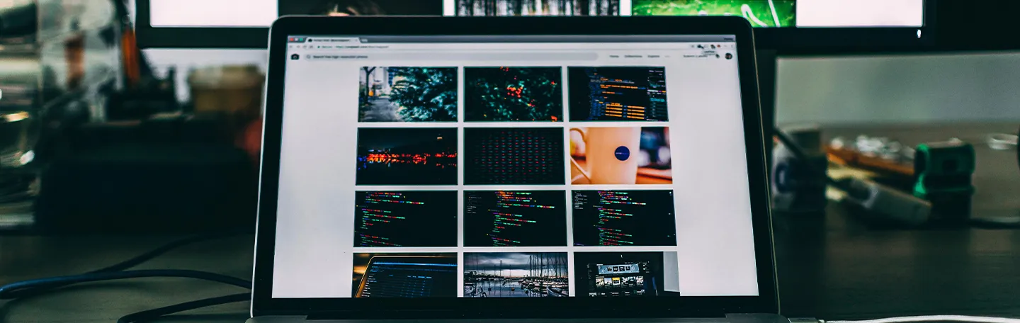 business color palette