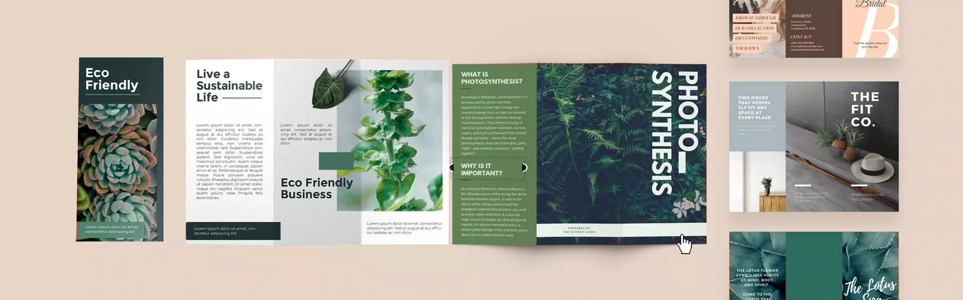 brochure design inspiration