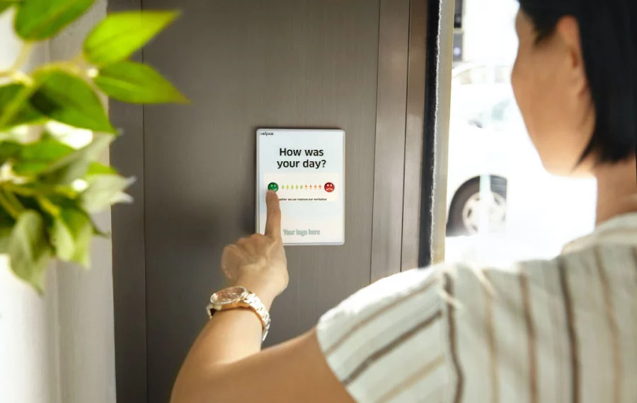 while work with graphic designer give them feedback