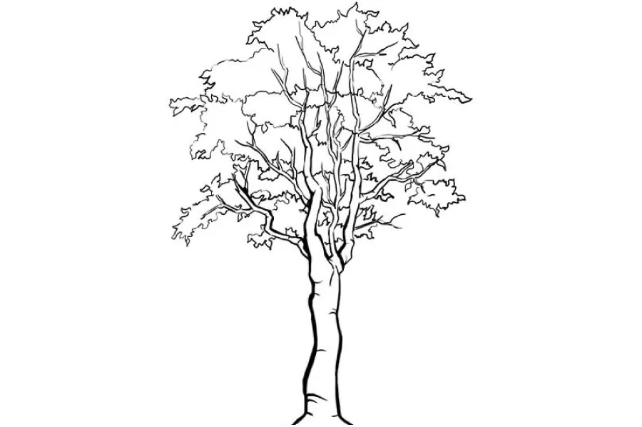 simple easy things to draw 