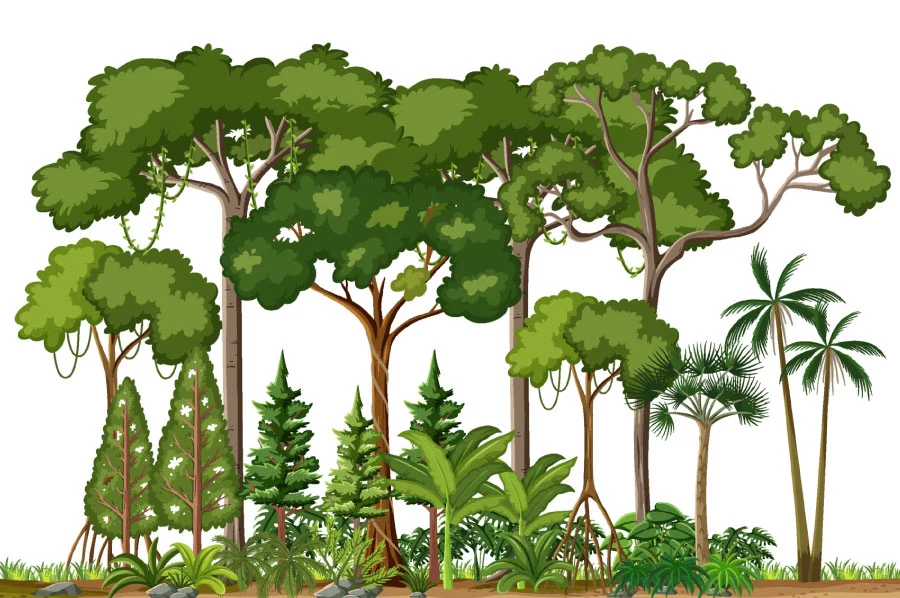 cute and easy things to draw 