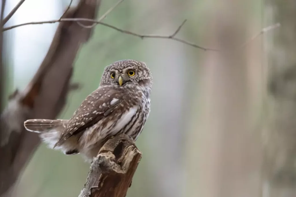 cute photoshoot ideas 