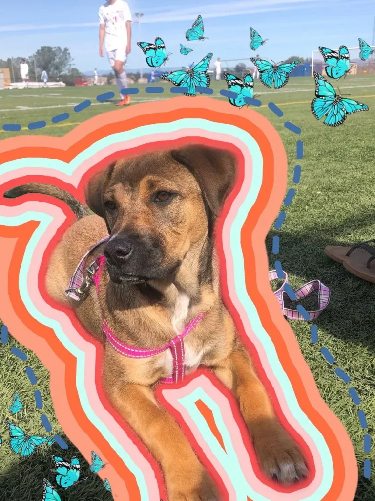 cute wallpapers for phone aesthetic 