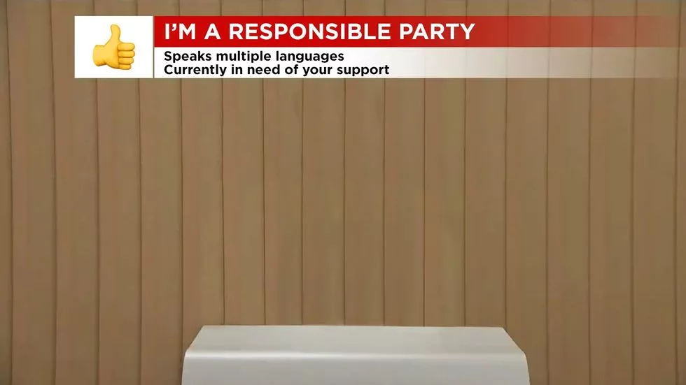 funny zoom background 