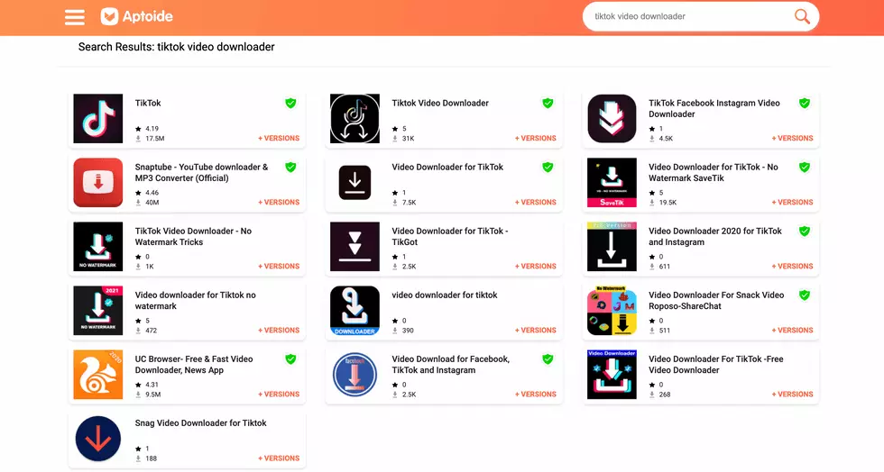 remove tiktok watermark free 