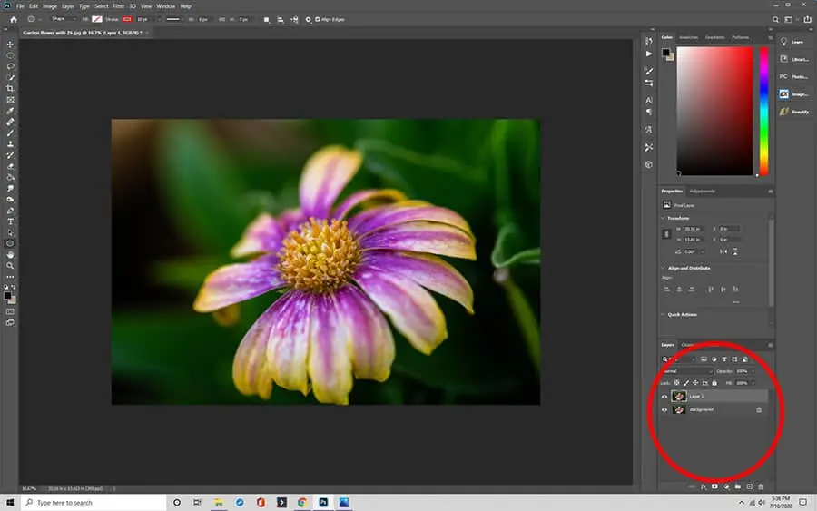 how to flip an image 180 degrees in photoshop 
