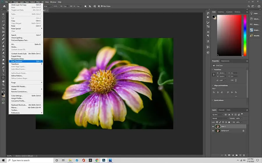how to flip an image upside down in photoshop 