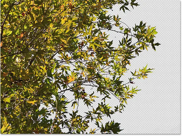 how to remove the background of a logo in photoshop 