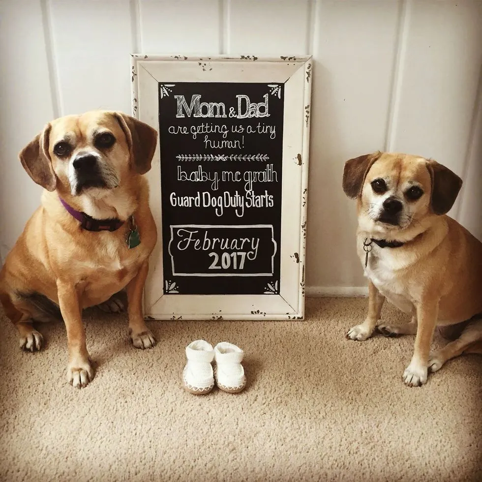 twin pregnancy announcement