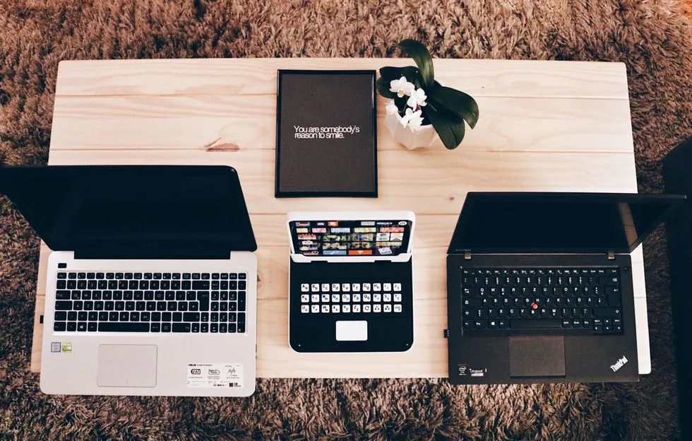  dog pregnancy announcement