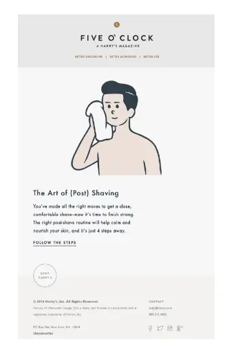 e newsletter examples