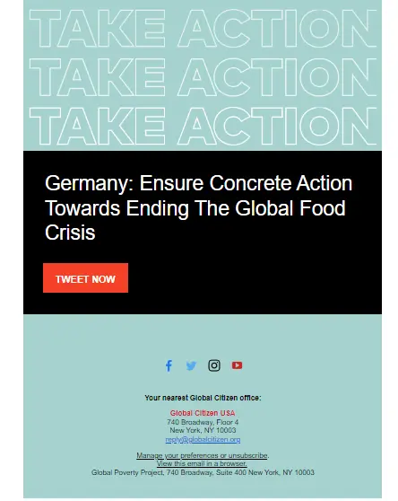  ecommerce newsletter examples