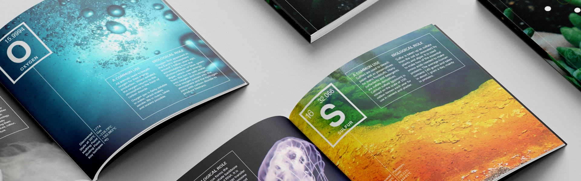 Booklet Design Services Costeffective Booklet Designs