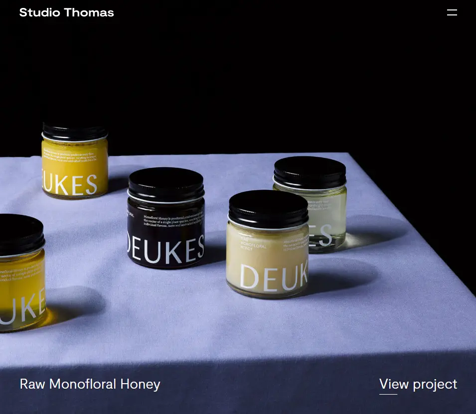  web design portfolio ideas