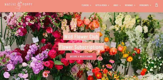  web design landing page