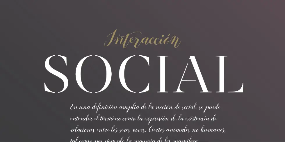  what are the best fonts for logos