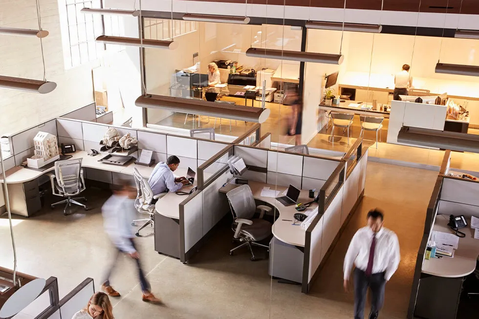 funny halloween backgrounds for zoom 