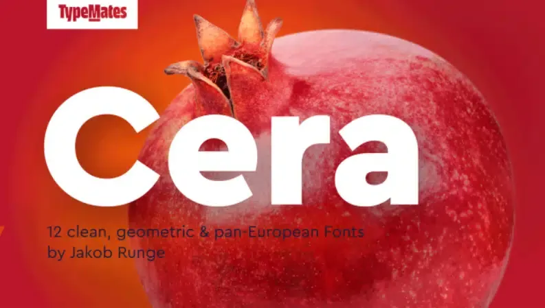  luxury fonts for logos