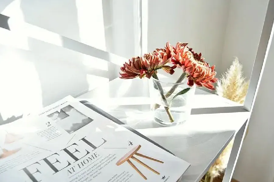 competitors for booklet designs