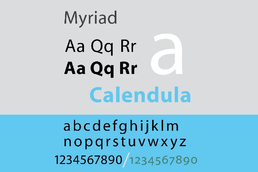 best script font for business cards