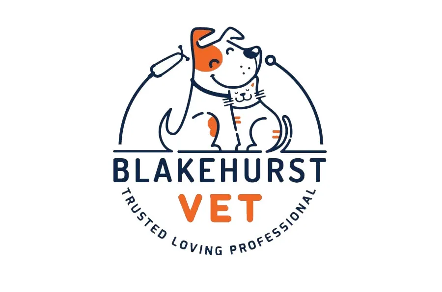 advertising design flyers