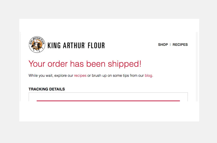 email header design inspiration