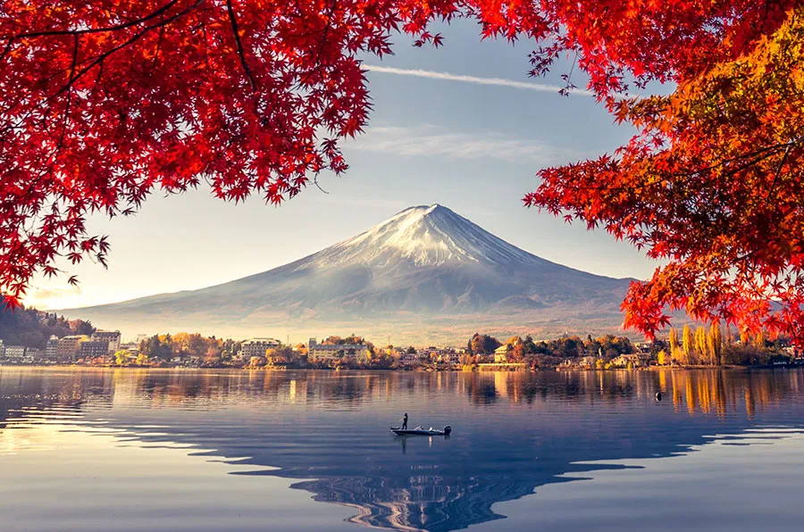 principles of design graphic design