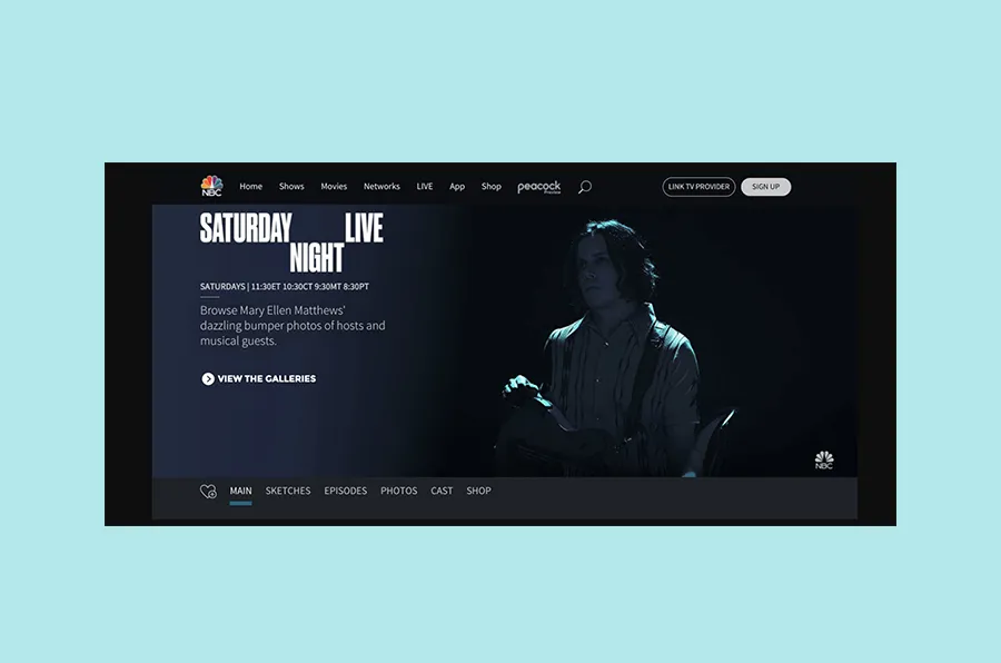 interactive websites