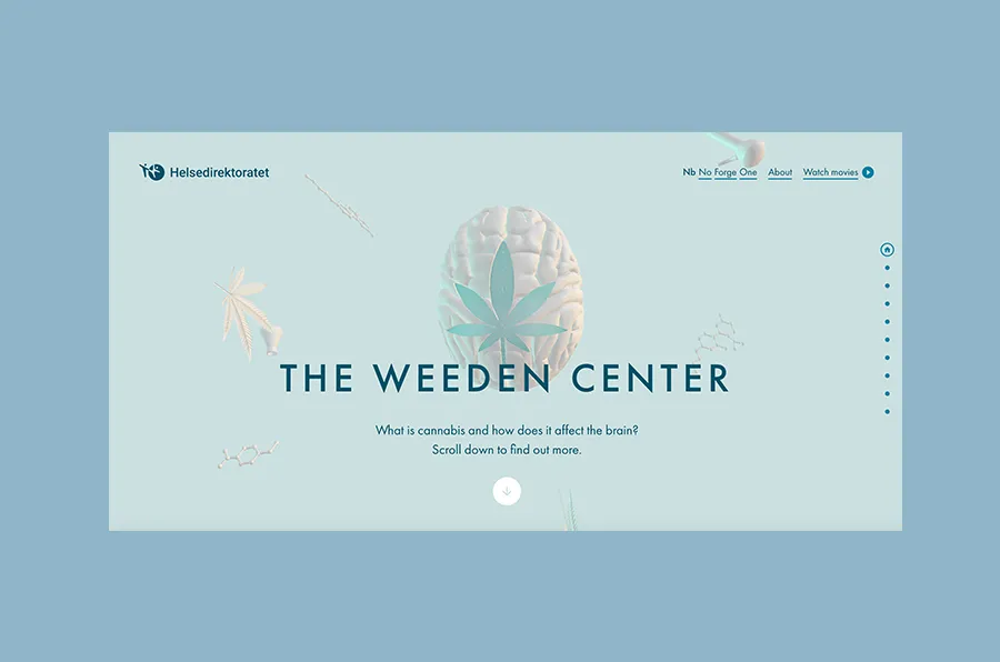 smart video in web design