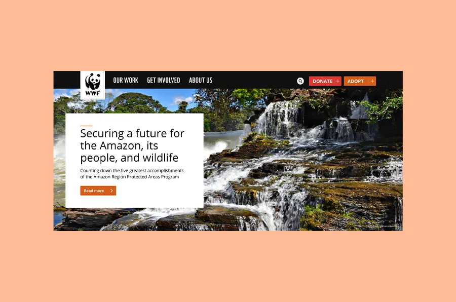 tips on how to build a strong and compelling brand