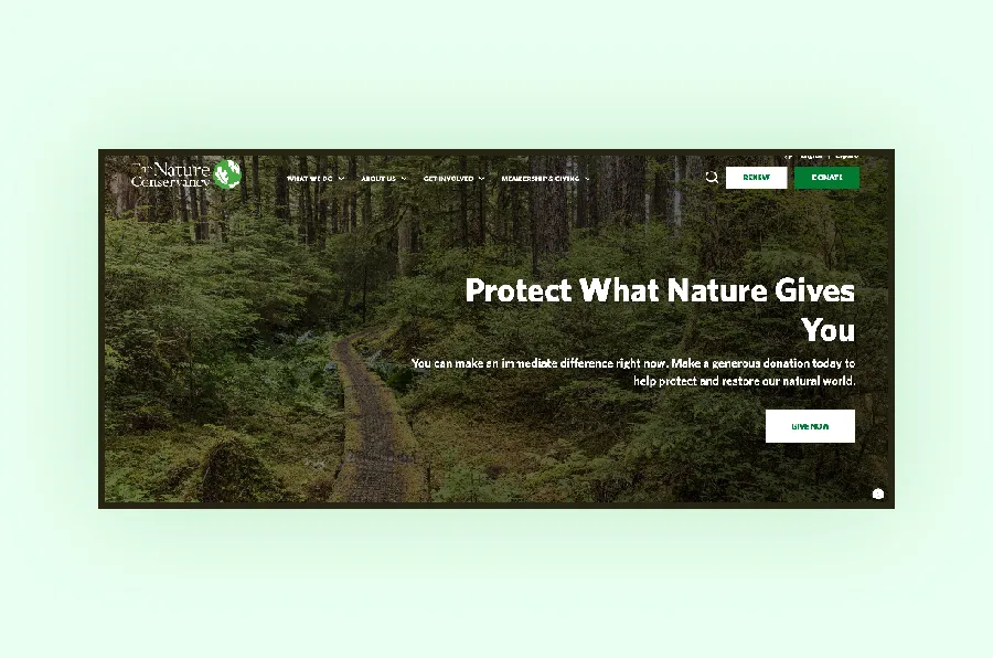 branding agency for nonprofits