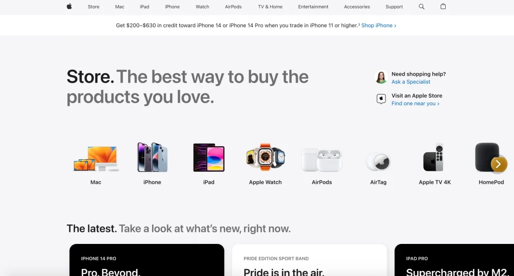 types of website page layouts