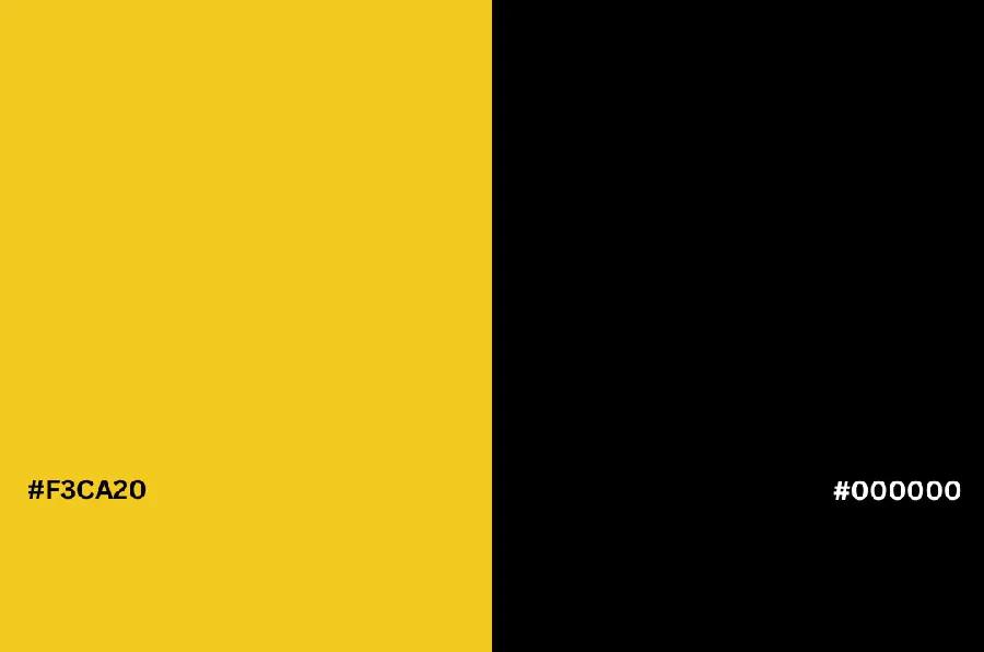 website color palette inspiration