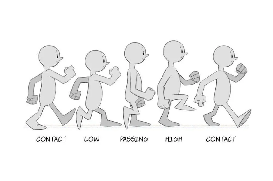 what are the 5 types of animations