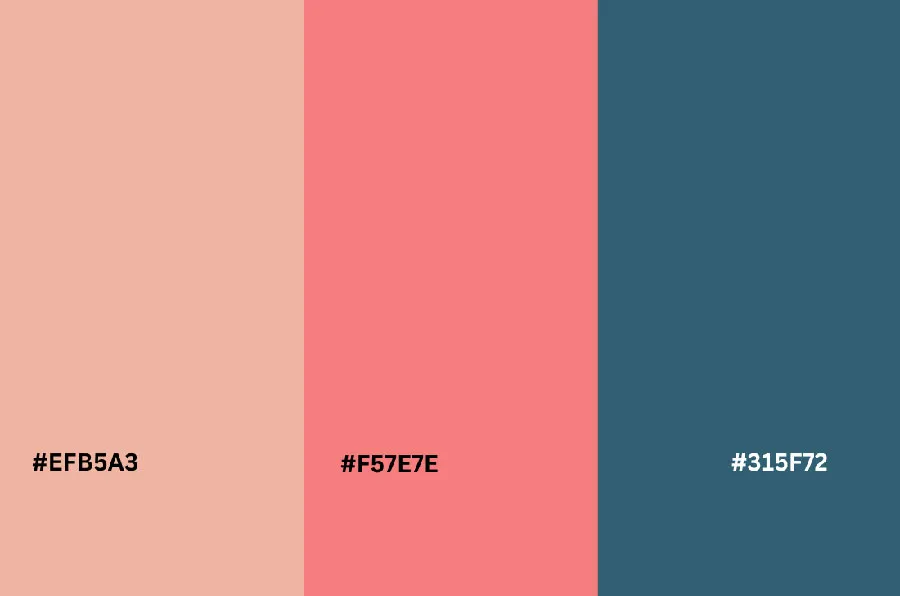 5 color palette ideas