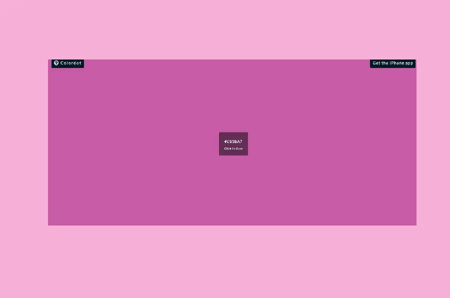color palette ideas for websites