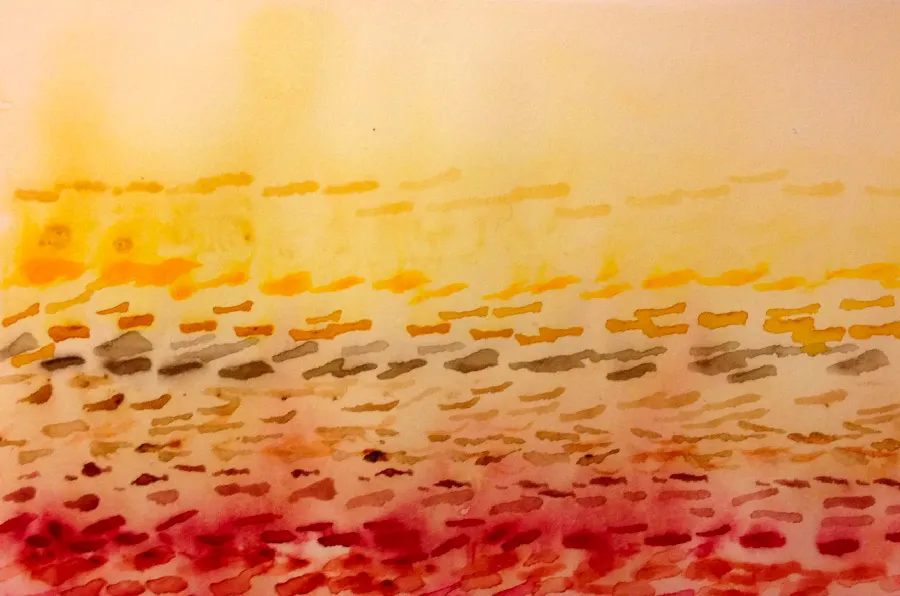 undersaturated earth tones