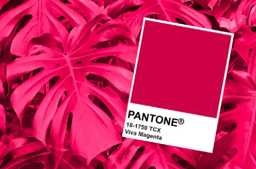 pantone color
