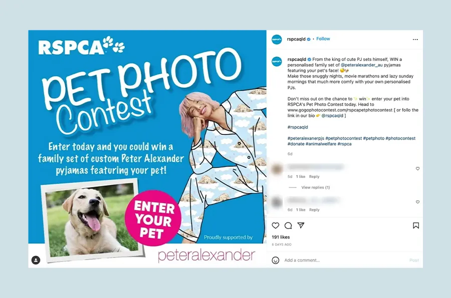 ideas for new product launch