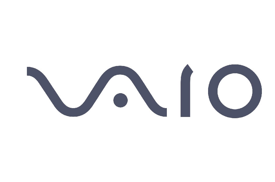 Vaio logo meaning