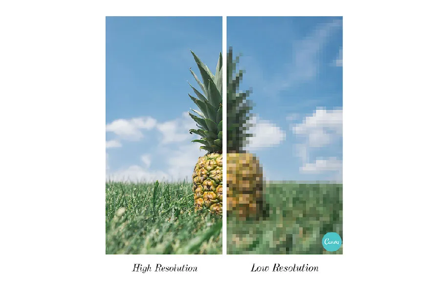 graphic design terms of service