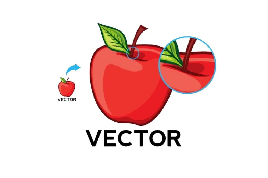 50 graphic design terms