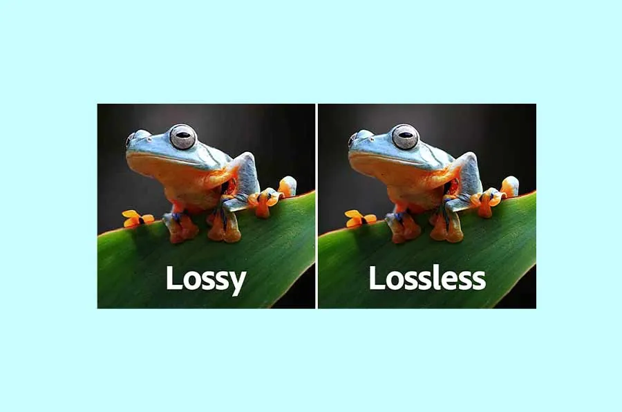 vectorized image file formats