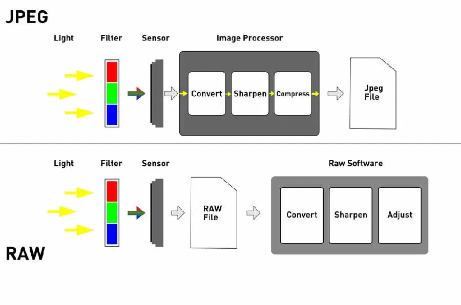 examples of image file formats