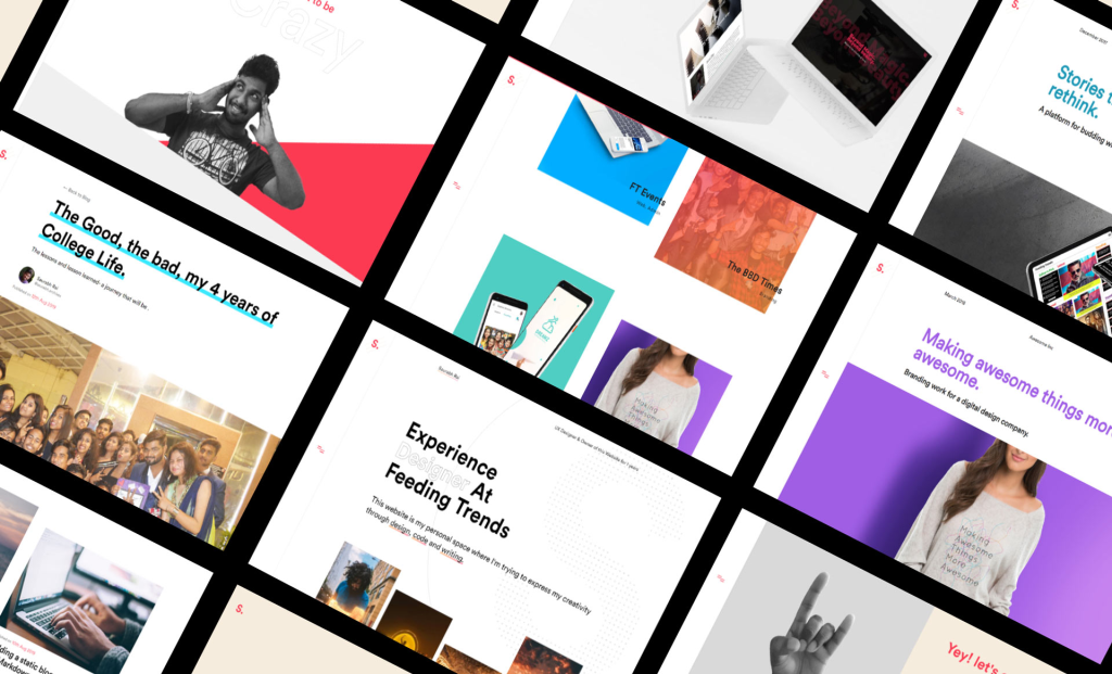 Portfolio and Expertise