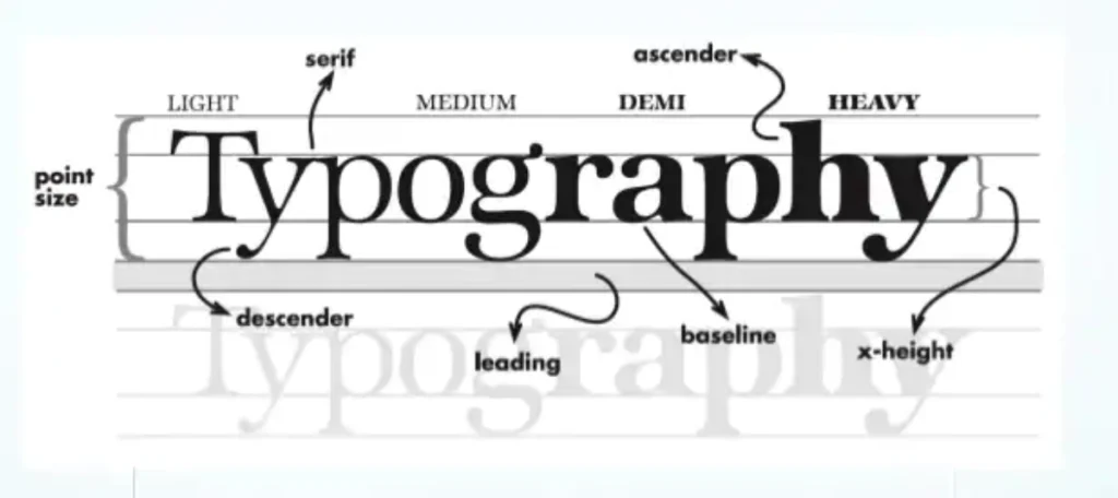 Typography
