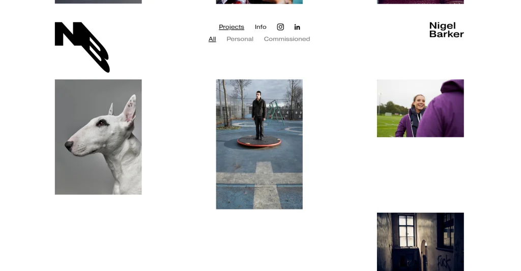 Nigel Barker Projects